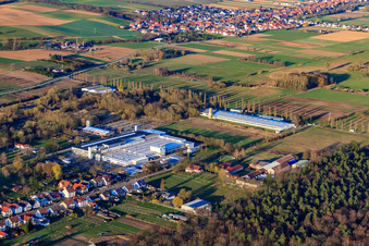 Vue aérienne de Zone industrielle avec Webasto Mechatronics et ConFas GmbH à le quartier Schaidt in Wörth am Rhein dans le département Rhénanie-Palatinat, Allemagne