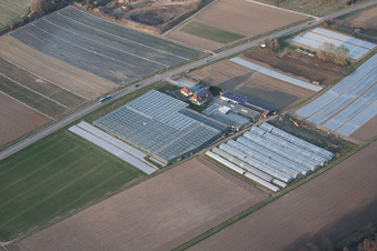 Herxheim bei Landau dans le département Rhénanie-Palatinat, Allemagne hors des airs