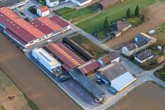 Vue aérienne de La ferme-boutique de Christoph et les fermes sur le chemin de la maladie d'Alzheimer à Herxheim bei Landau dans le département Rhénanie-Palatinat, Allemagne