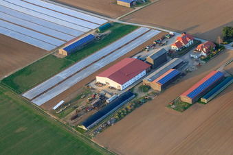 Vue aérienne de L'agriculteur Kerner Andreas à Am Wingertsberg à Herxheim bei Landau dans le département Rhénanie-Palatinat, Allemagne