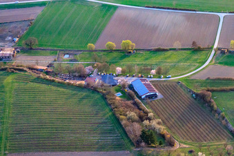 Vue aérienne de Domaine viticole Anton (production) Am Schambach à Herxheim bei Landau dans le département Rhénanie-Palatinat, Allemagne