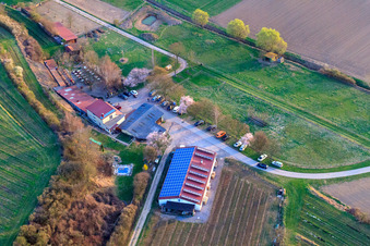 Vue aérienne de Domaine viticole Anton (production) Am Schambach à Herxheim bei Landau dans le département Rhénanie-Palatinat, Allemagne