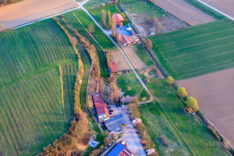 Vue aérienne de Ranch Herxe à Herxheim bei Landau dans le département Rhénanie-Palatinat, Allemagne
