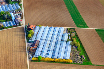 Vue aérienne de Crèche Appich à Kleines Fedle à Möglingen dans le département Bade-Wurtemberg, Allemagne