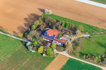 Vue aérienne de Schwalbenhof Leopold, dans le champ de maïs à Möglingen dans le département Bade-Wurtemberg, Allemagne