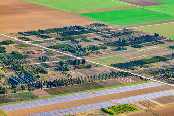 Vue aérienne de Schillinger H.-J. et S. Crèche, Im Kornfeld à Möglingen dans le département Bade-Wurtemberg, Allemagne