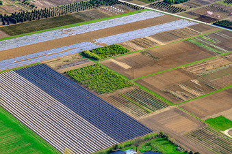 Vue aérienne de Schillinger H.-J. et S. Crèche, Im Kornfeld à Möglingen dans le département Bade-Wurtemberg, Allemagne