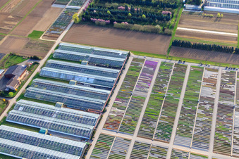 Vue aérienne de Jardin commercial Campo Verde, Im Kornfeld à Möglingen dans le département Bade-Wurtemberg, Allemagne