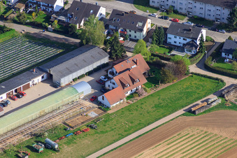 Vue oblique de Ferme biologique Kugelmann sur Sonnenweg à Kandel dans le département Rhénanie-Palatinat, Allemagne