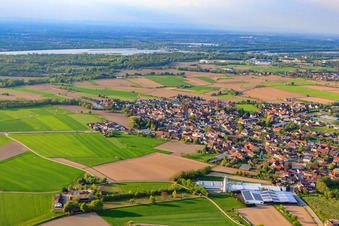 Vue aérienne de Ruhsi GmbH & Co. KG à le quartier Rheinbischofsheim in Rheinau dans le département Bade-Wurtemberg, Allemagne