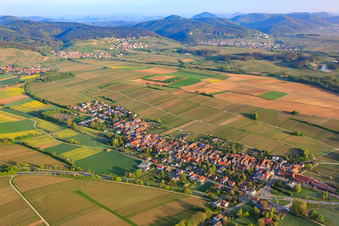 Vue aérienne de Vue de Dor depuis le sud-est à Niederhorbach dans le département Rhénanie-Palatinat, Allemagne