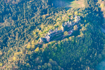 Vue aérienne de Château d'Altdahn à Dahn à Dahn dans le département Rhénanie-Palatinat, Allemagne