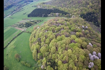 Vue aérienne de Escherange dans le département Moselle, France