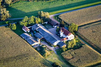 Vue aérienne de Hofgut Ludwigsau am Rhein à le quartier Maximiliansau in Wörth am Rhein dans le département Rhénanie-Palatinat, Allemagne
