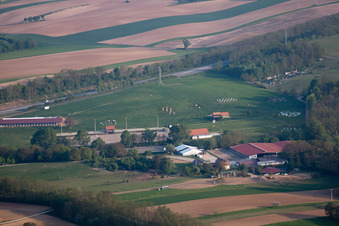 Vue aérienne de Haras à Neewiller-près-Lauterbourg dans le département Bas Rhin, France