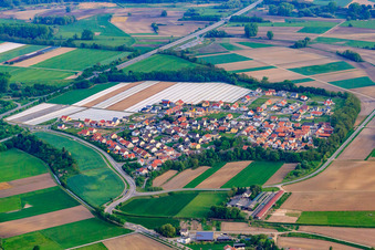 Vue aérienne de Vue du village depuis le sud à le quartier Hardtwald in Neupotz dans le département Rhénanie-Palatinat, Allemagne