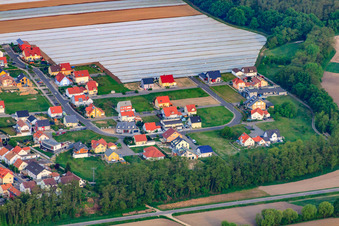 Bague fleur à le quartier Hardtwald in Neupotz dans le département Rhénanie-Palatinat, Allemagne du point de vue du drone