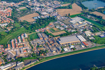 Vue aérienne de Zone industrielle Industriehof Speyer et NEG Novex, entreprise de gros de services électriques et de construction GmbH sur Franz-Kirrmeier-Straße au bord du Rhin à Speyer dans le département Rhénanie-Palatinat, Allemagne