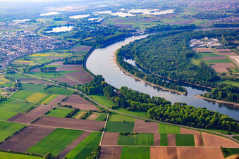 Vue aérienne de Altlußheimer Altrhein au niveau de la courbe du Rhin de Spire à Speyer dans le département Rhénanie-Palatinat, Allemagne