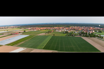 Vue aérienne de Panorama du village vu du nord à Hatzenbühl dans le département Rhénanie-Palatinat, Allemagne