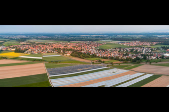 Vue aérienne de Panorama du village vu du nord-ouest à Rheinzabern dans le département Rhénanie-Palatinat, Allemagne