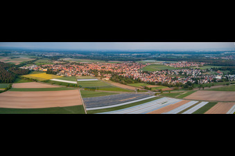 Vue aérienne de Perspective panoramique des champs et des terres agricoles à Rheinzabern dans le département Rhénanie-Palatinat, Allemagne