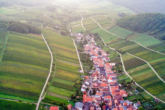 Vue aérienne de Rue Kaltenbrunn à Ranschbach dans le département Rhénanie-Palatinat, Allemagne