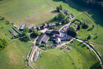 Vue aérienne de Ransbrunnerhof à Eppenbrunn dans le département Rhénanie-Palatinat, Allemagne