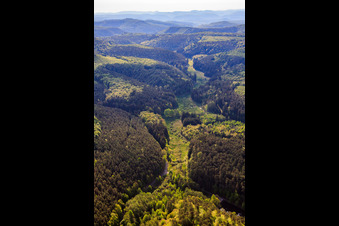 Vue aérienne de Vallée du Wüsteichelsbach à Eppenbrunn dans le département Rhénanie-Palatinat, Allemagne