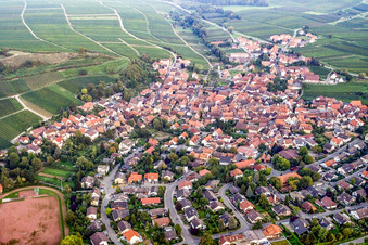 Vue aérienne de Village viticole du nord à Ilbesheim bei Landau dans le département Rhénanie-Palatinat, Allemagne