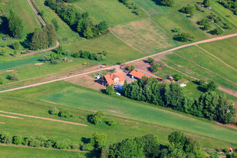 Vue aérienne de Aussiedlerhof, Bergstr à Eppenbrunn dans le département Rhénanie-Palatinat, Allemagne