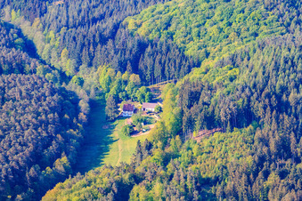 Vue aérienne de À Georgenfeld à Eppenbrunn dans le département Rhénanie-Palatinat, Allemagne