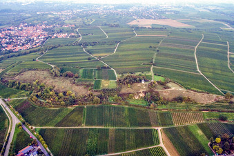 Vue aérienne de Petit Kalmit à Ilbesheim bei Landau dans le département Rhénanie-Palatinat, Allemagne
