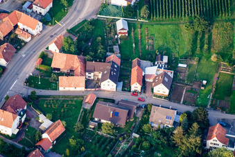 Vue aérienne de Wiesenstraße avec la cidrerie Freigeist à le quartier Rechtenbach in Schweigen-Rechtenbach dans le département Rhénanie-Palatinat, Allemagne