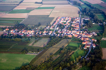 Vue aérienne de De l'ouest à le quartier Kleinsteinfeld in Niederotterbach dans le département Rhénanie-Palatinat, Allemagne