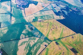Vue aérienne de Mosaïque de champs avec dégâts causés par la sécheresse à le quartier Warnstedt in Thale dans le département Saxe-Anhalt, Allemagne