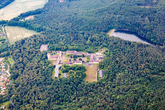 Vue aérienne de Centre de formation Großer Ziegenberg à Ballenstedt dans le département Saxe-Anhalt, Allemagne