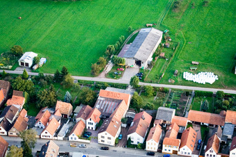 Vue aérienne de Domaine viticole Jung à Kandel dans le département Rhénanie-Palatinat, Allemagne