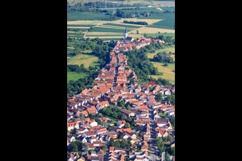 Vue aérienne de Hinterstädel vu du nord à Jockgrim dans le département Rhénanie-Palatinat, Allemagne