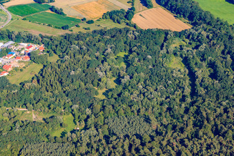 Carrière d'argile à Jockgrim dans le département Rhénanie-Palatinat, Allemagne hors des airs