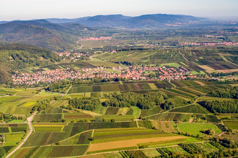 Vue aérienne de Vue de la ville sur la Route des Vins depuis le sud à Klingenmünster dans le département Rhénanie-Palatinat, Allemagne