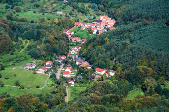 Vue aérienne de Dans la forêt du Palatinat à le quartier Blankenborn in Bad Bergzabern dans le département Rhénanie-Palatinat, Allemagne