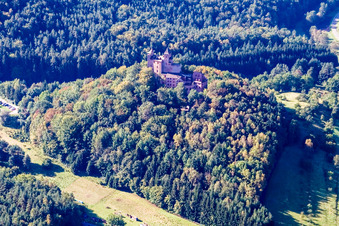 Château de Berwartstein à Erlenbach bei Dahn dans le département Rhénanie-Palatinat, Allemagne d'en haut