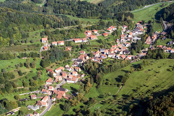 Vue aérienne de Champs agricoles et terres agricoles à Erlenbach bei Dahn dans le département Rhénanie-Palatinat, Allemagne