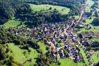 Photographie aérienne de Champs agricoles et terres agricoles à Niederschlettenbach dans le département Rhénanie-Palatinat, Allemagne
