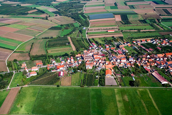 Vue aérienne de Village de Viehstrich en bordure du Bienwald vu du sud à Schweighofen dans le département Rhénanie-Palatinat, Allemagne