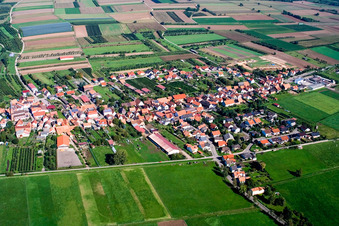 Vue aérienne de Village de Viehstrich en bordure du Bienwald vu du sud à Schweighofen dans le département Rhénanie-Palatinat, Allemagne