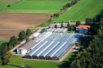 Terre de cactus Steinfeld à Steinfeld dans le département Rhénanie-Palatinat, Allemagne hors des airs