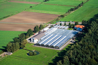 Terre de cactus Steinfeld à Steinfeld dans le département Rhénanie-Palatinat, Allemagne vue d'en haut