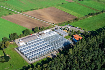 Vue aérienne de Terre de cactus à Steinfeld dans le département Rhénanie-Palatinat, Allemagne